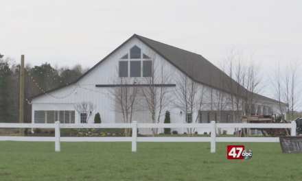 Wedding industry impacted by coronavirus restrictions