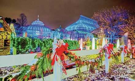 Phipps’ winter flower show, light garden is holiday tradition