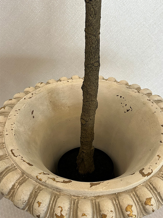 place in pot