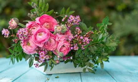 Administrative Professionals Day Marketing