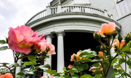 Art blooms just in time for spring