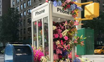 Blooming with joy: Lewis Miller shares his life in flowers at TEDx Charlottesville
