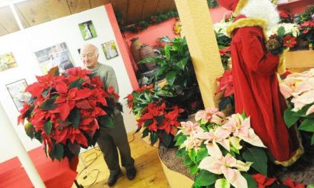 Cosentino: Plants we don’t see much anymore