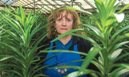 Eveleth florist concerned over COVID-19 ripple effects