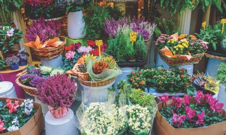 Florists search for ways to stay afloat