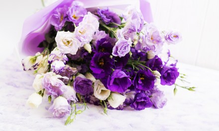 Scent Components of Lisianthus Flowers