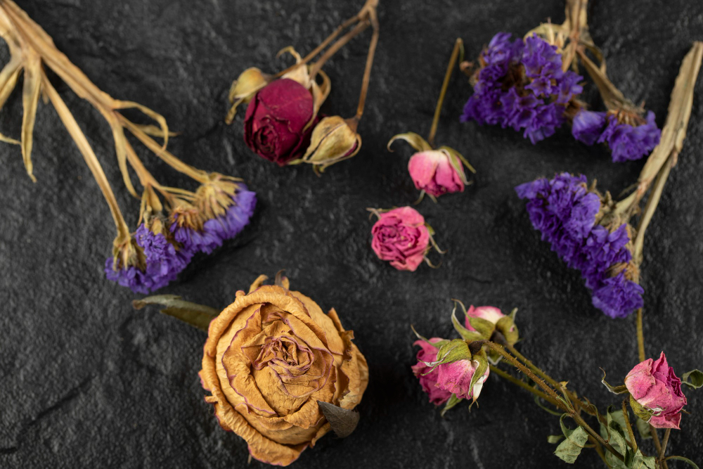 dried flowers