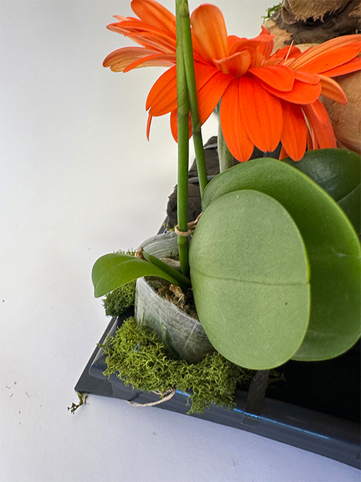 add plant