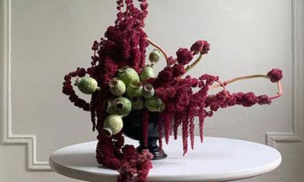 Amaranth Design Inspiration