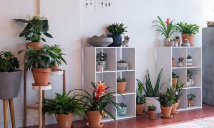 The Age of Studio Floral Designers