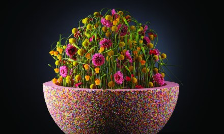 International Design Stars
