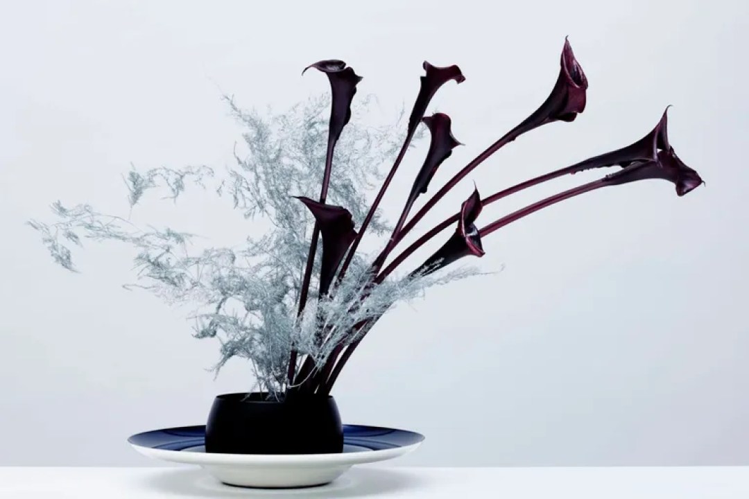 dark purple and white flowers in black bowl against white background made by Meta Flora in New York dark purple and white flowers in black bowl against white background made by Meta Flora in New York