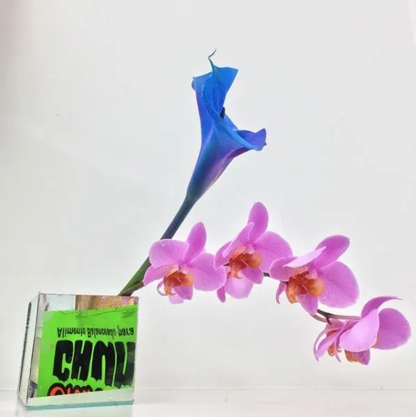 Flores La Fe Mexico City florist arrangement of pink and blue flowers in green glass vase against white wall Flores La Fe Mexico City florist arrangement of pink and blue flowers in green glass vase against white wall