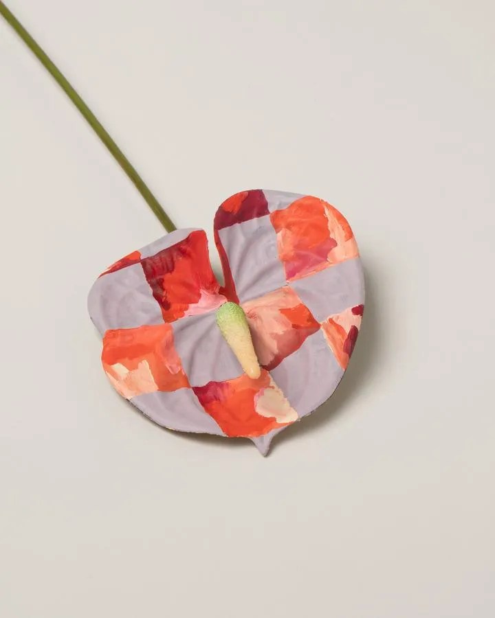 Brooklyn, New York florist Wife painted anthurium stems in lavender in pink squares Brooklyn, New York florist Wife painted anthurium stems in lavender in pink squares