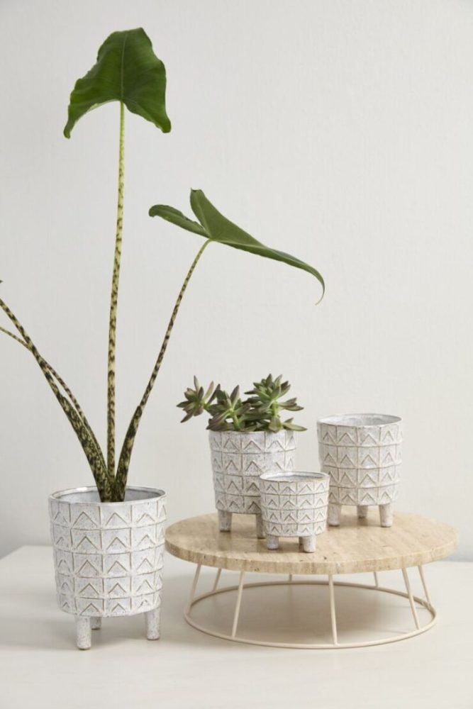 amrit pot