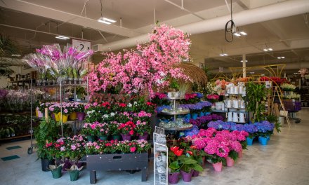 Bay Area Floral Design Cup Comes to San Jose, California