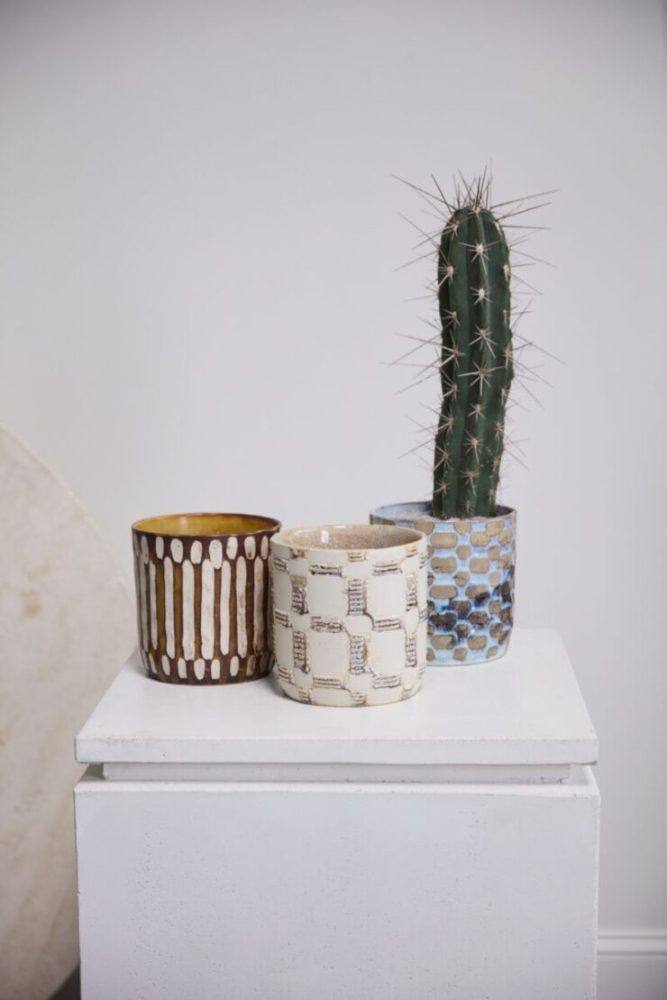 anselm pot