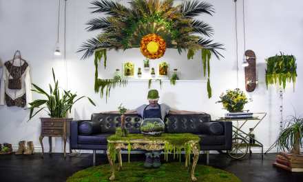 Monsieur Plant – Happy 2020!