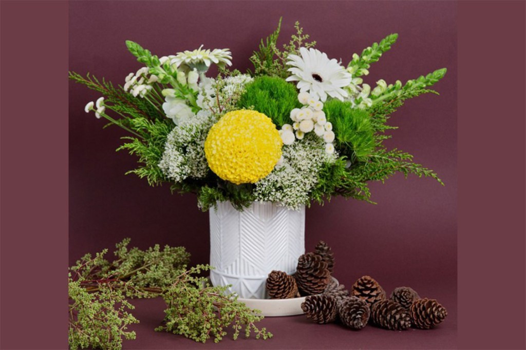 winter design with Coco Marigold