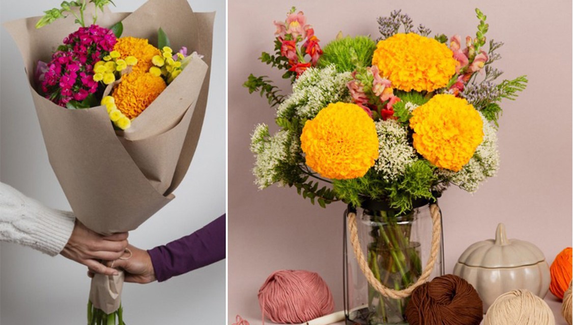 Breaking the Marigold’s autumn-only reputation