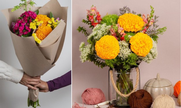 Breaking the Marigold’s autumn-only reputation