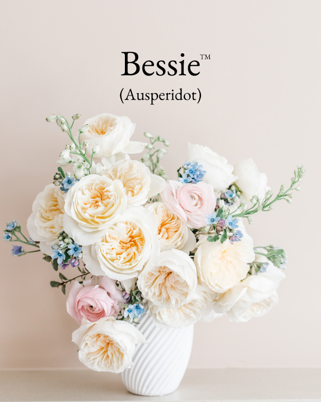 Bessie