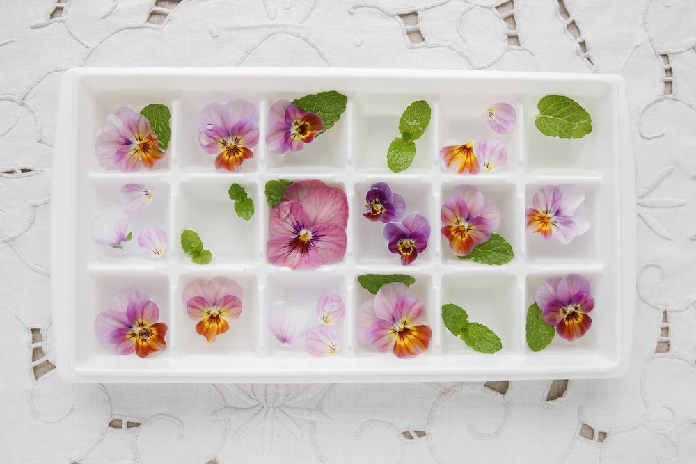 ice cube with flowers