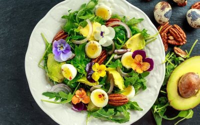 Best Edible Flowers