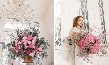 Blooming Innovations Introduces New Hydrangea Variety