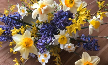How to Elevate Floral Palettes with the Power of Yellow