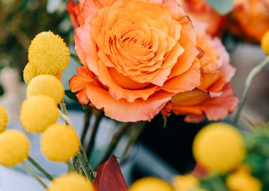 Share your thoughts about Florists’ Review
