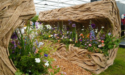 Floral Magic at the RHS Chelsea Flower Show 
