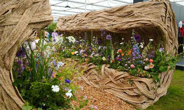 Floral Magic at the RHS Chelsea Flower Show 