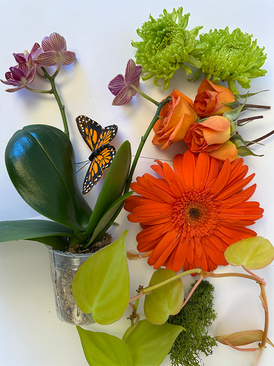 Botanicals
