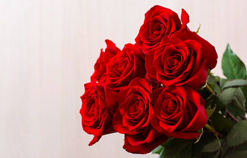 Valentine’s Day Profit Planner