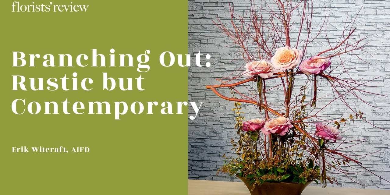 Branching Out – Garden Rose Style