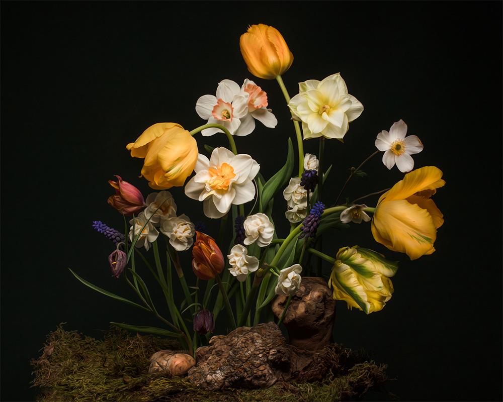 Bulb floral design