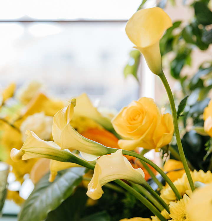 calla