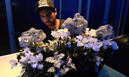 Business at Eagle Rock and Silver Lake flower shops continue to bloom amid pandemic