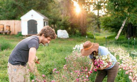 American Grown Flowers