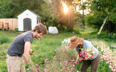 American Grown Flowers