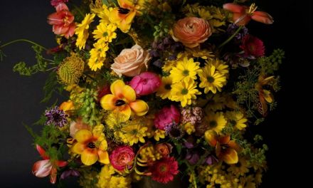 New Introduction From Dekker – Chrysanth Dutchmaster