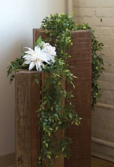 greenery display