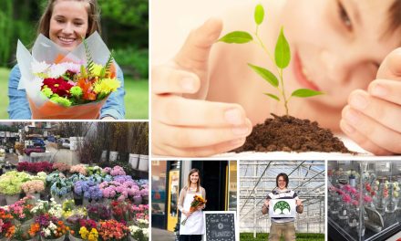 American Floral Endowment: Your Partner for Success