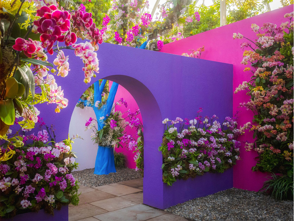 colorful outdoor orchid display