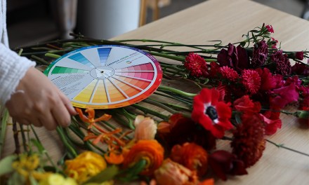 Color Theory