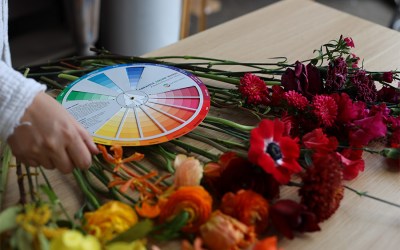Color Theory