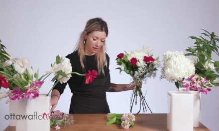 Common Flower Types   Ottawa Flowers Educational Video Series