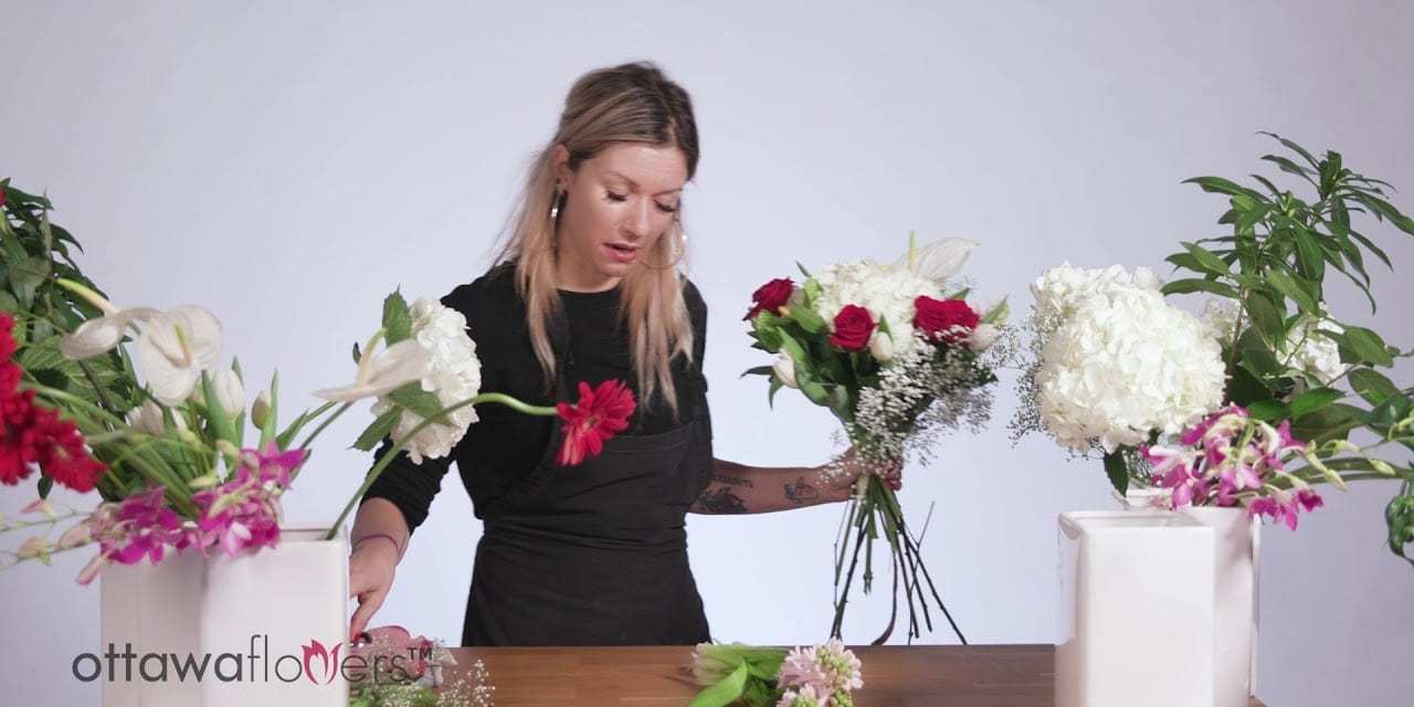 Common Flower Types   Ottawa Flowers Educational Video Series