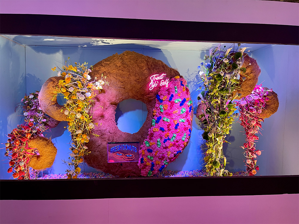 Completed Donut installation
